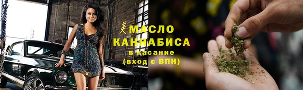 индика Гусиноозёрск