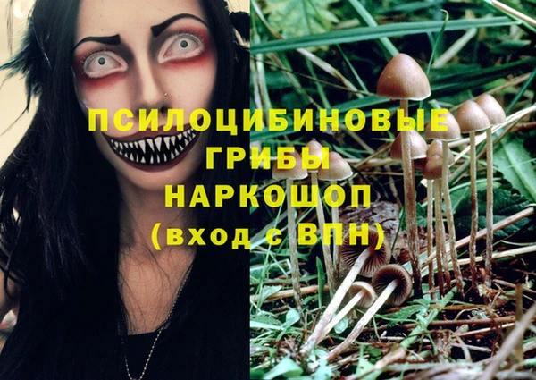 дурь Протвино