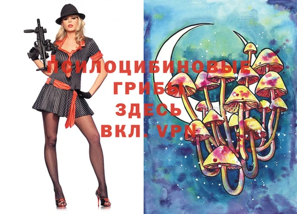 винт Приозерск