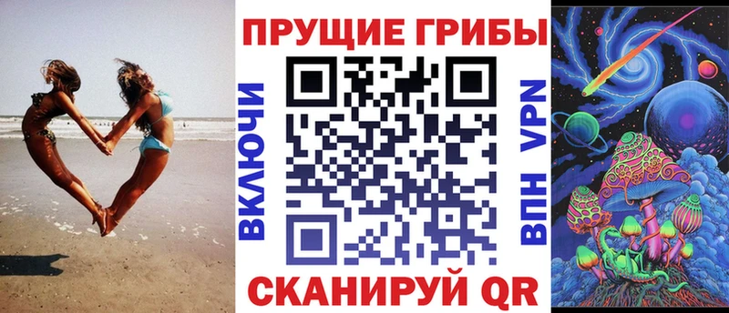 Купить  Людиново  Галлюциногенные грибы Psilocybe 